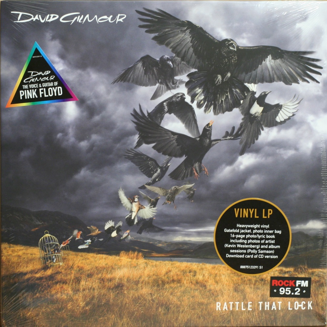 David Gilmour / Rattle That Lock (Черный винил, разворотный конверт, иллюстрированный внутренний конверт, бонусы) [180g LP] в интернет магазине CD Good