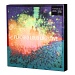Placebo / Loud Like Love (Limited Edition, Super Deluxe Edition, CD-Audio, 2 X DVD, 3 X Vinyl) [BOX SET]