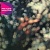 Pink Floyd / Discovery 2011 (16 Remastered CD Deluxe edition) [BOX SET]